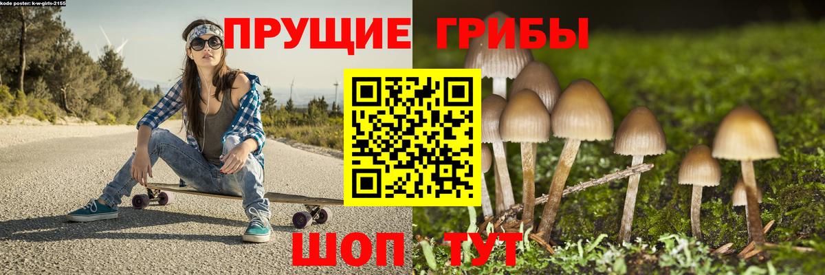 Магнитогорск  Псилоцибиновые грибы Psilocybine cubensis  Вход с VPN 